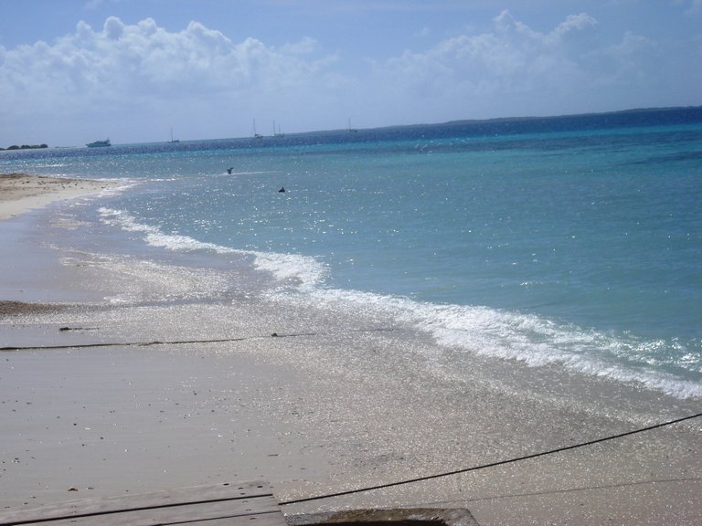 LOS ROQUES 113.jpg