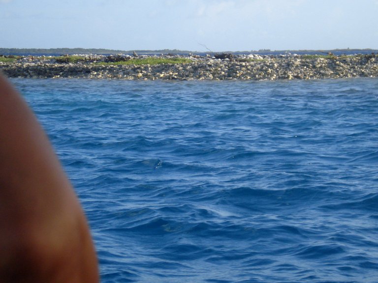 LOS ROQUES 181.jpg