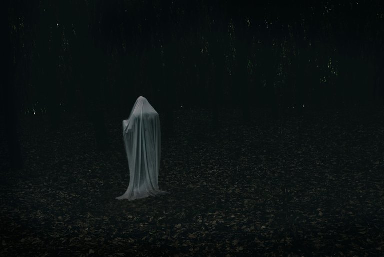 fantasma-bosque-oscuro.jpg