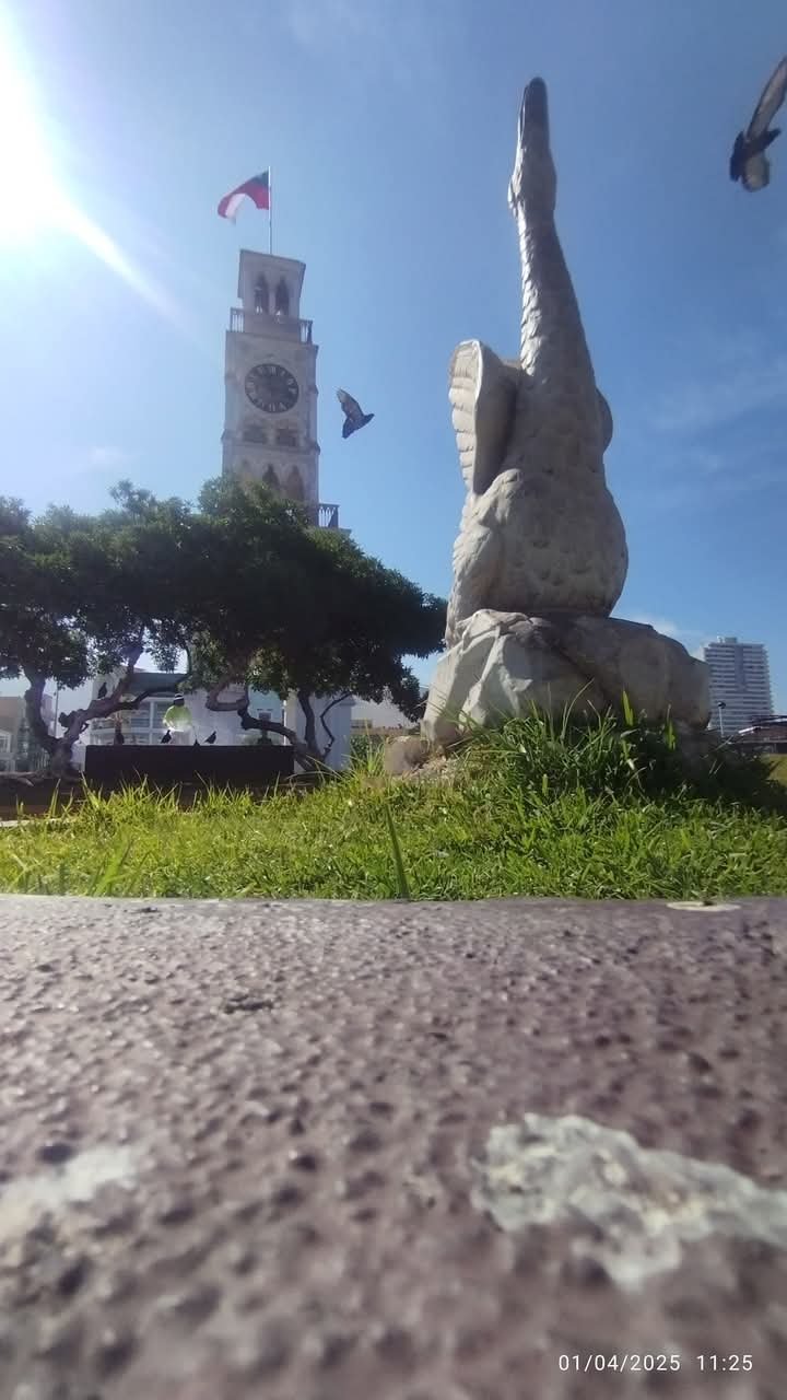 1000126505.jpg