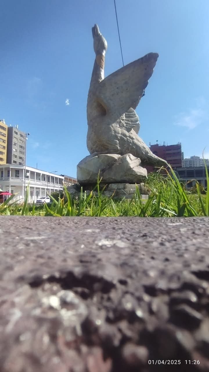 1000126506.jpg