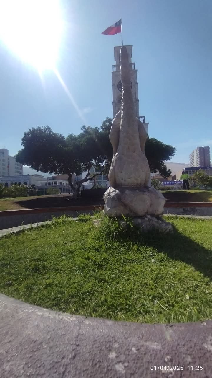 1000126503.jpg