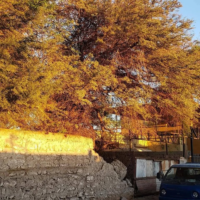 1000230567.jpg
