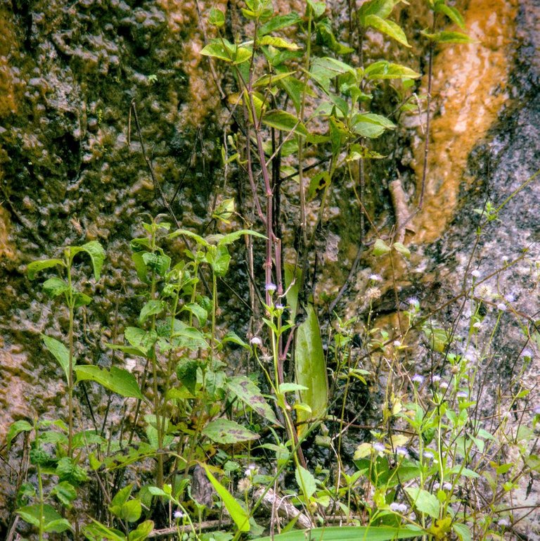 DSC_0944.jpg