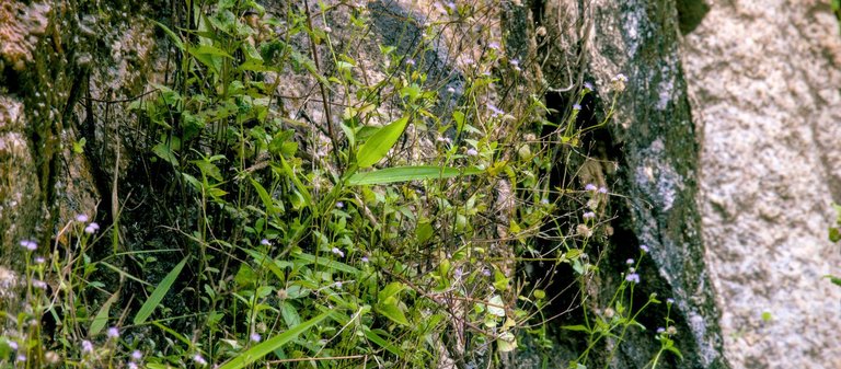 DSC_0962.jpg