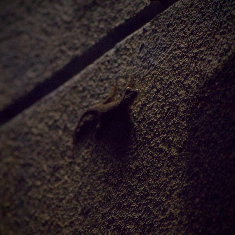 DSC_0317.jpg