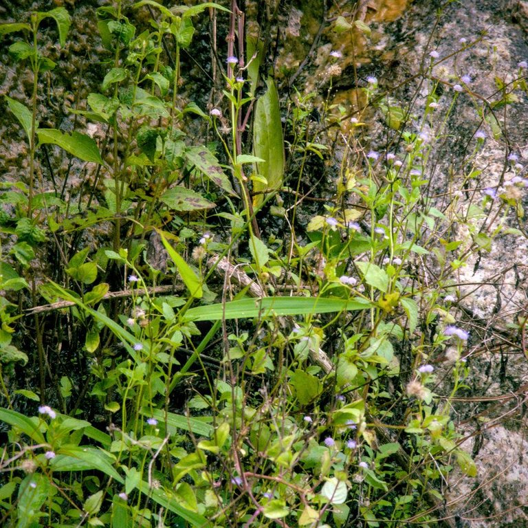 DSC_0945.jpg