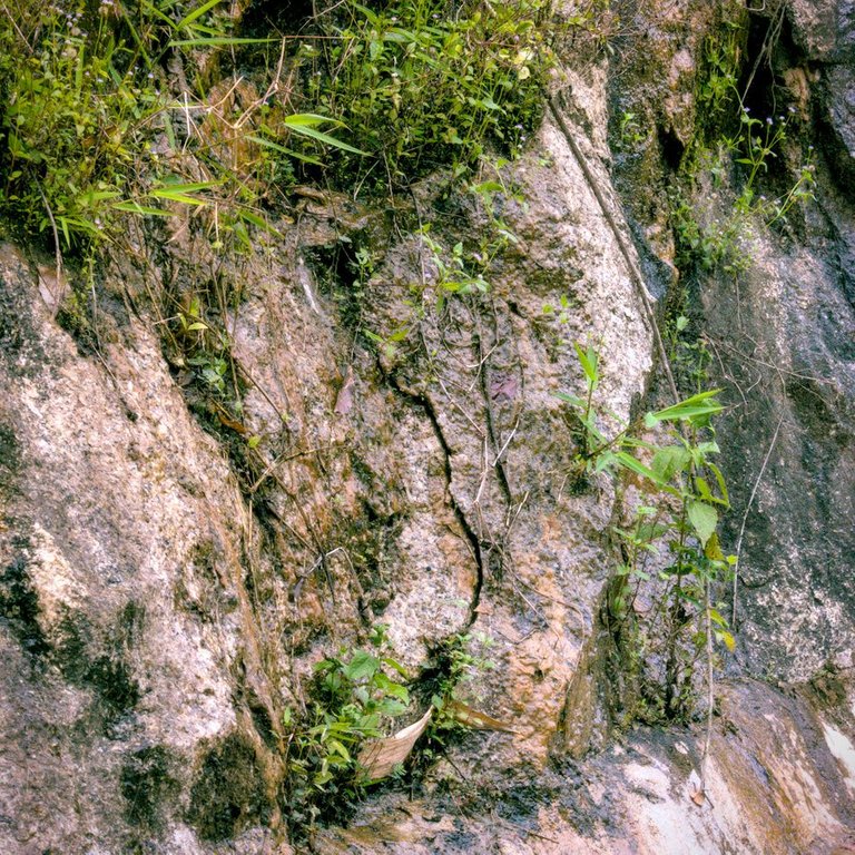 DSC_0970.jpg