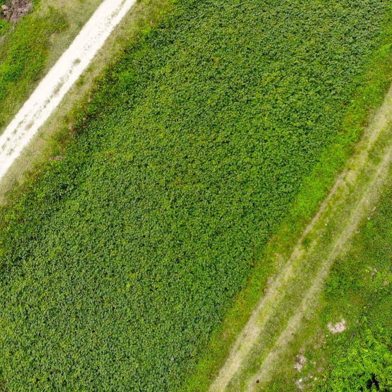 DJI_0989_1.JPG