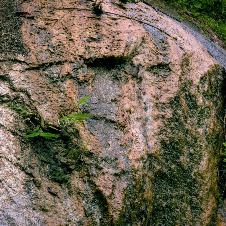 DSC_0949.jpg