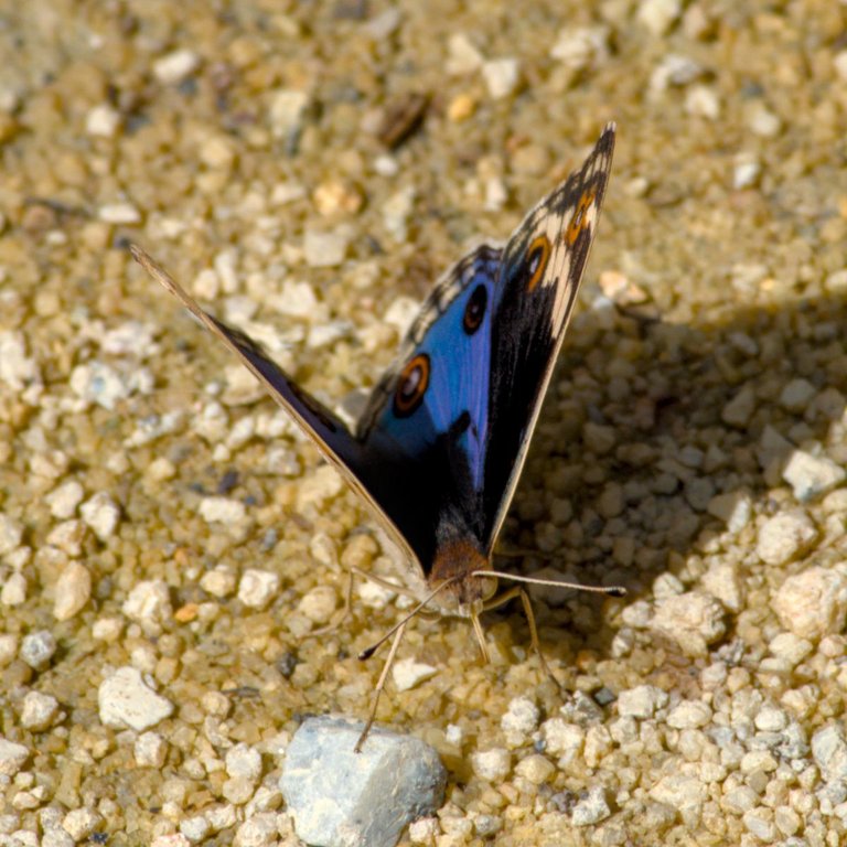 DSC_0228.jpg
