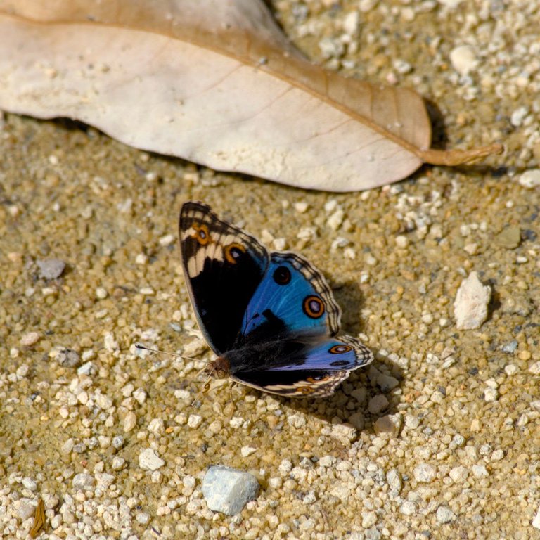 DSC_0226.jpg