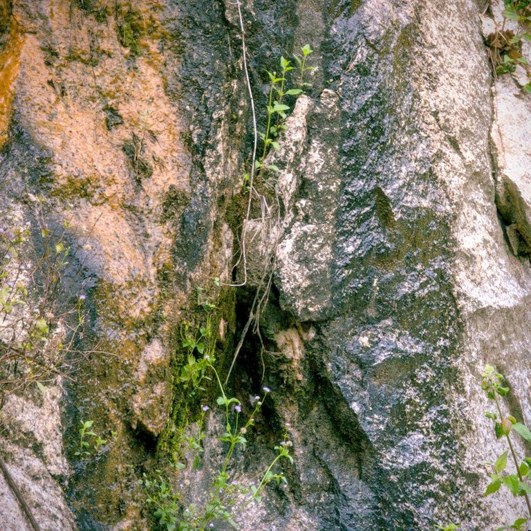 DSC_0947.jpg