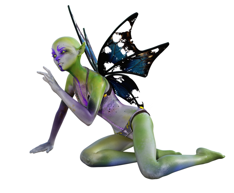 fairy-5284315_1920.png