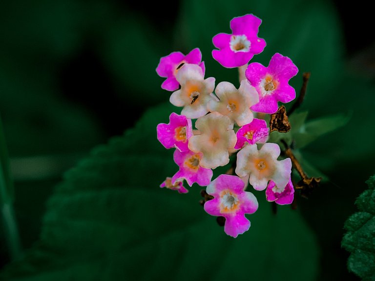 IMG20220830162017.jpg