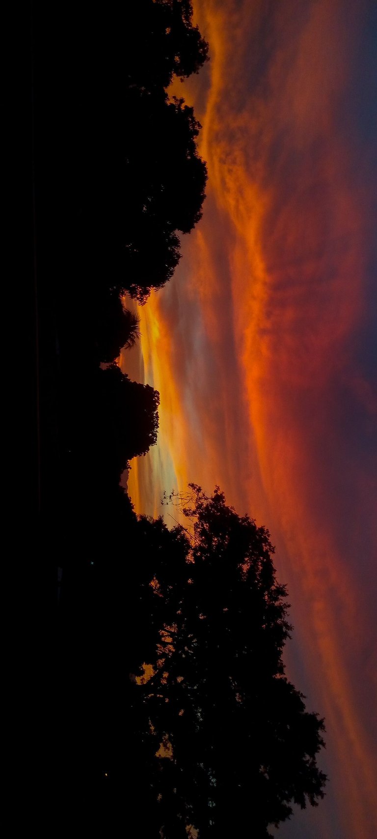 IMG_20230506_192116_721.jpg