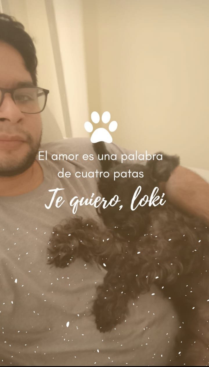 EL AMOR DEL PERRITO.jfif