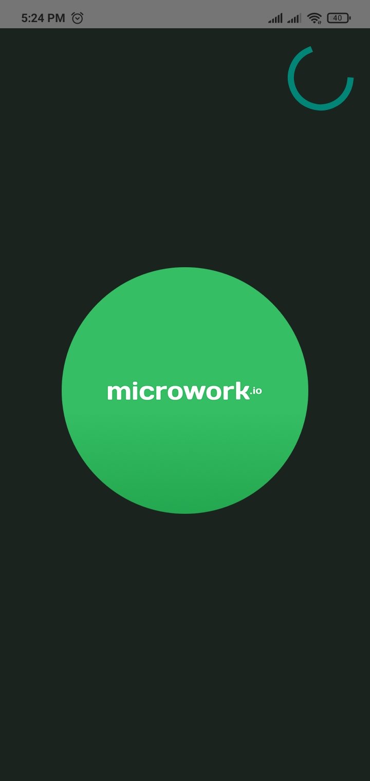 Screenshot_2021-04-30-17-24-57-658_io.microwork.tasks.jpg