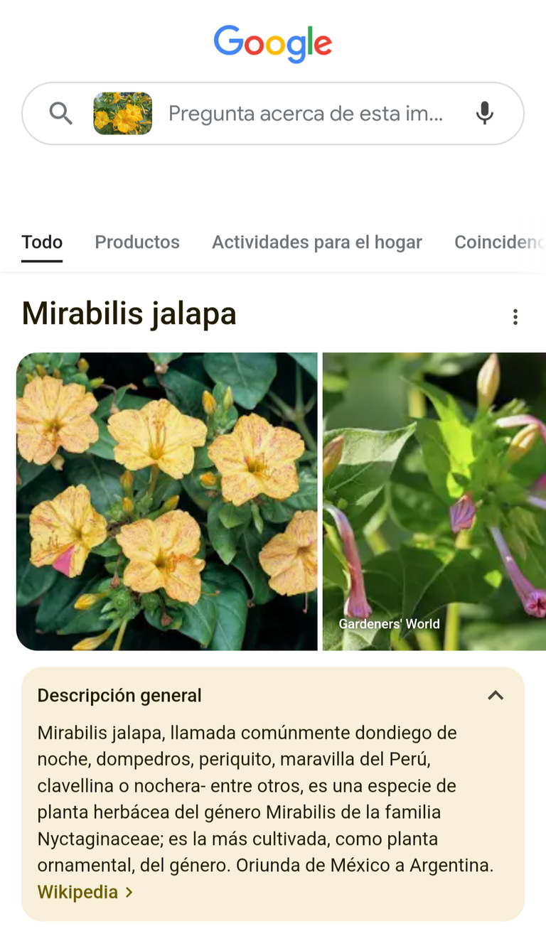 1000196131.png