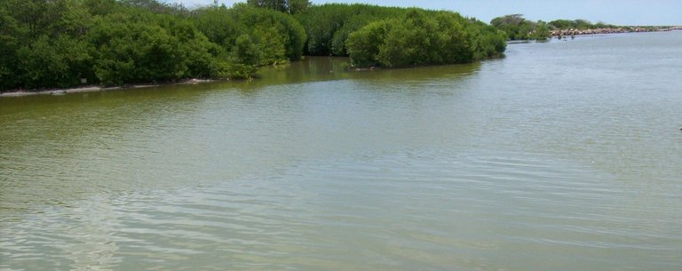100_0682.JPG