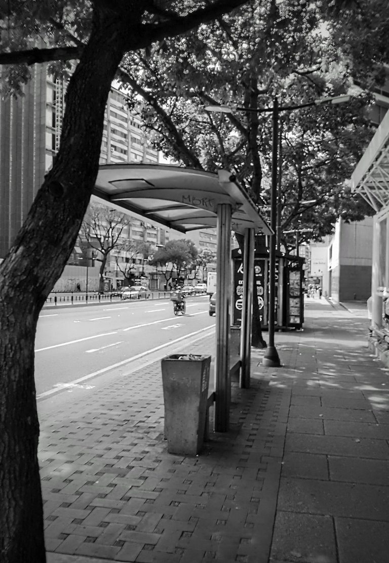 IMG_20241231_130008_HDR~2.jpg