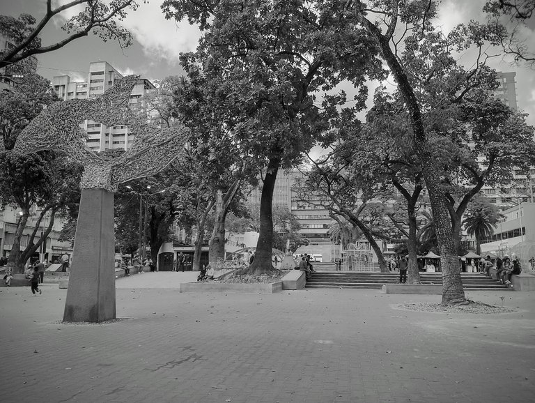 IMG_20250114_154440_HDR~2.jpg