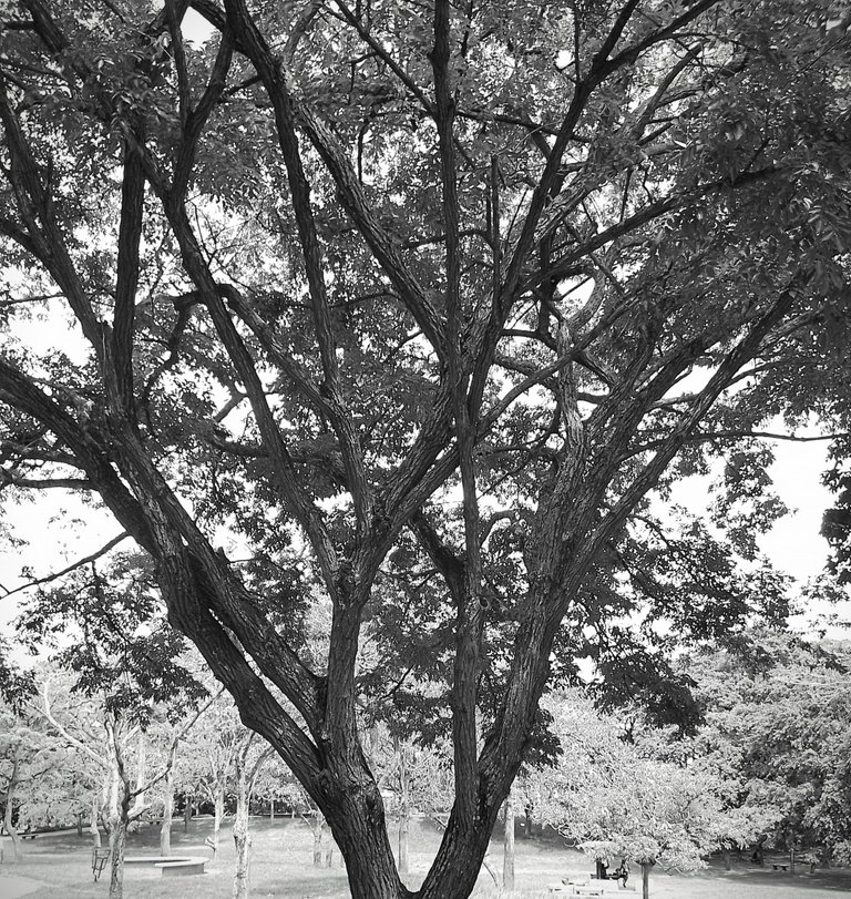 IMG_20240619_102655~2.jpg