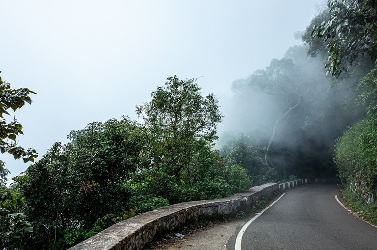 Hispaliterario - El Camino Mágico / The Magic Path