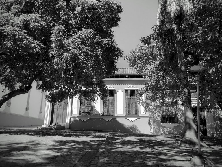 2-IMG_20250128_142154_HDR~2.jpg