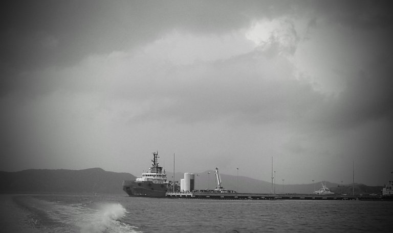 S5030376~2.JPG