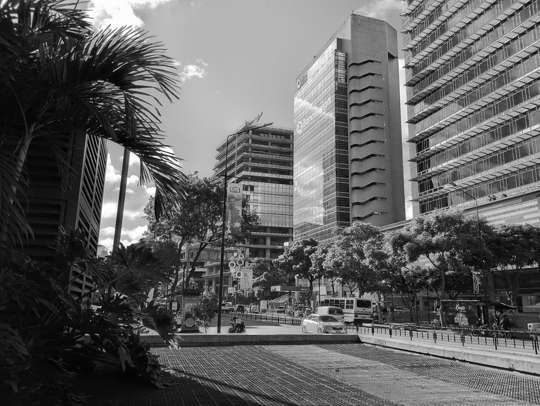 1IMG_20250121_155557_HDR~2 (1).jpg