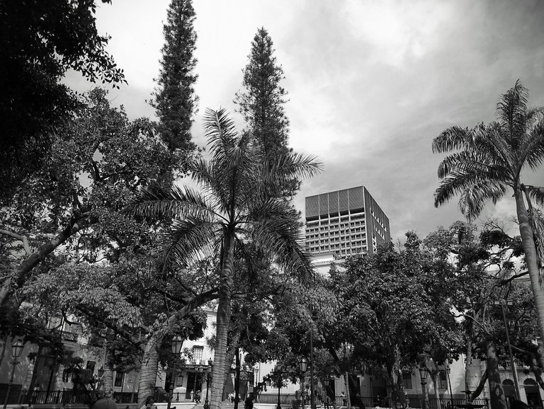 IMG_20241223_111551~2.jpg
