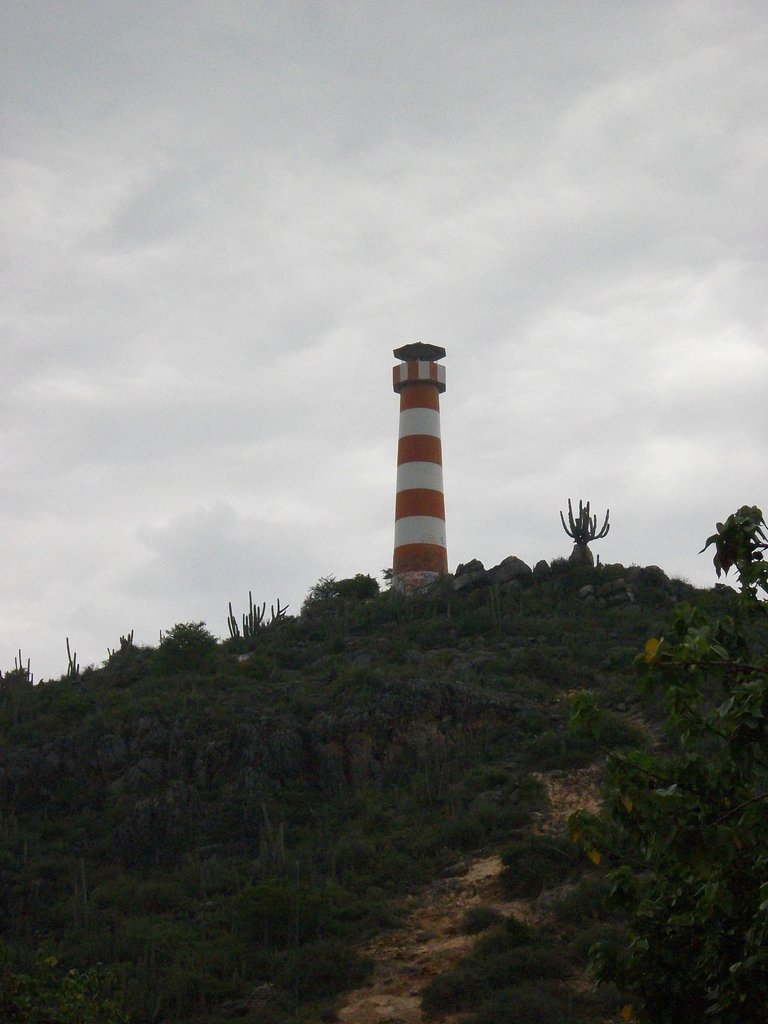 100_6419.JPG