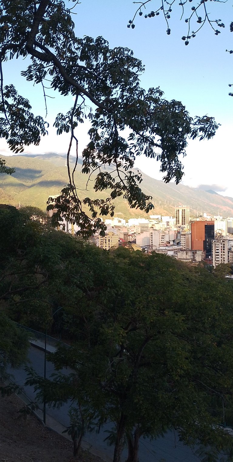 PANO_20250111_174412.jpg