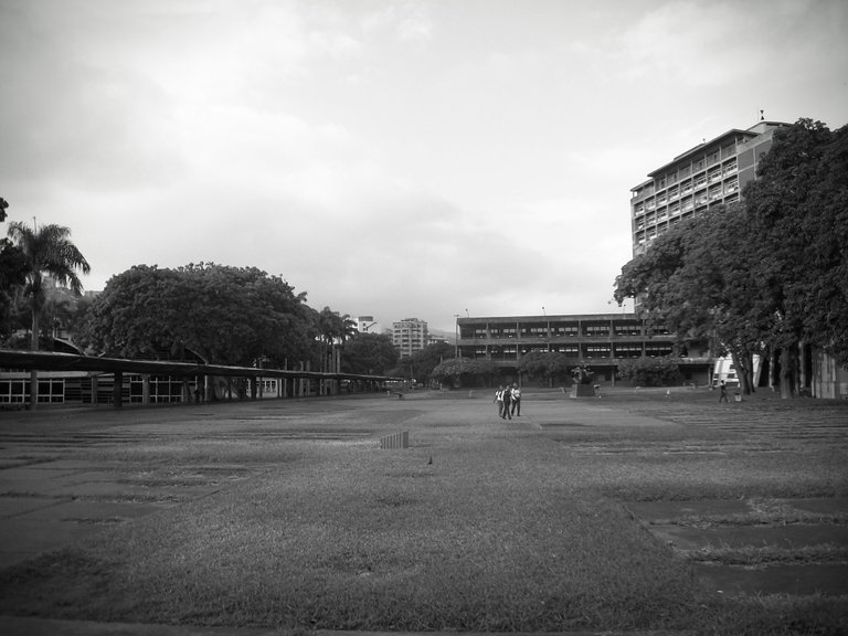 123_0246~2.JPG