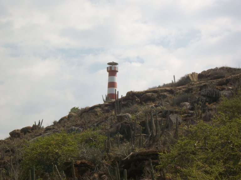 100_7704.JPG