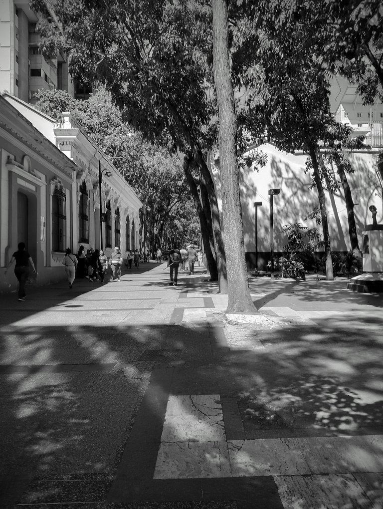 IMG_20250128_140841_HDR~2.jpg