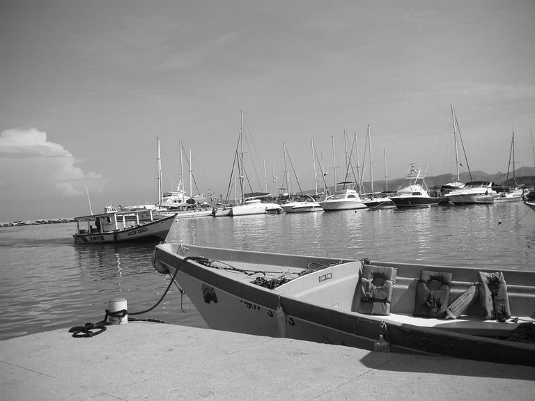 S5030355~2.JPG