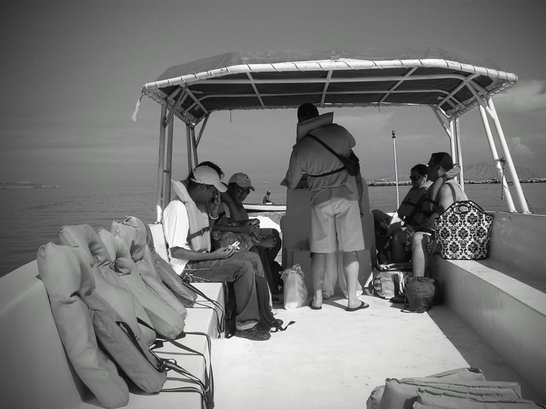S5030356~2.JPG