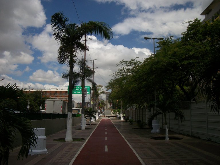 109_8834.JPG