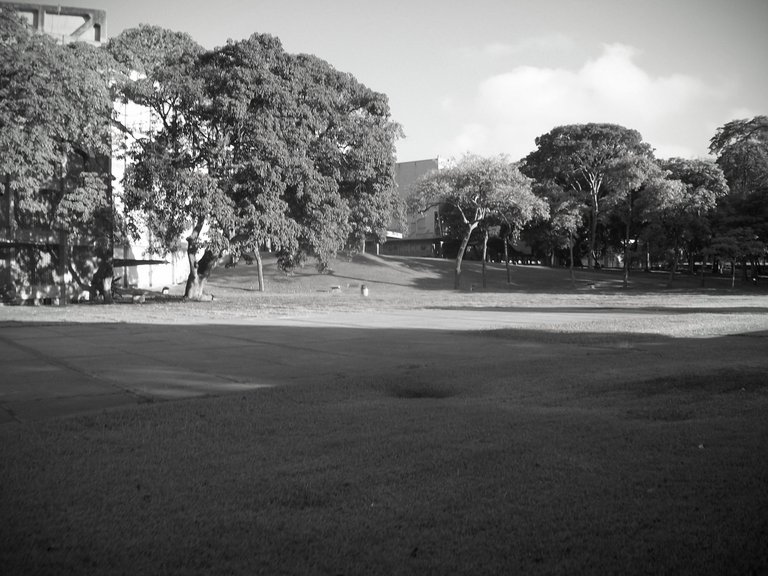 123_0164~2.JPG