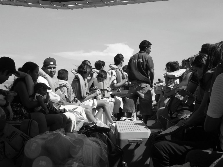 1-S5030361~2.JPG