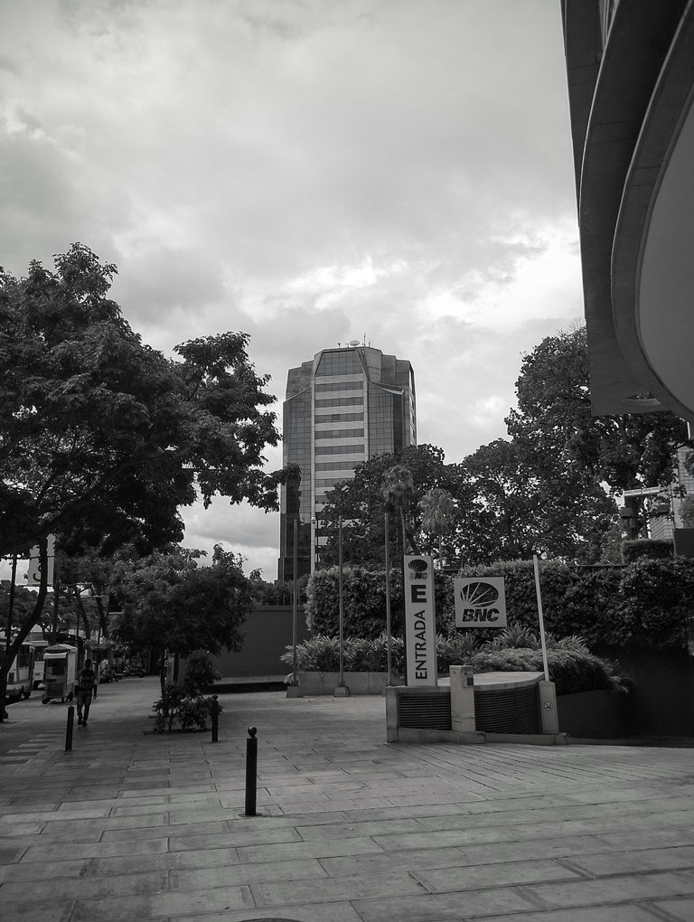 IMG_20241231_133318~2.jpg
