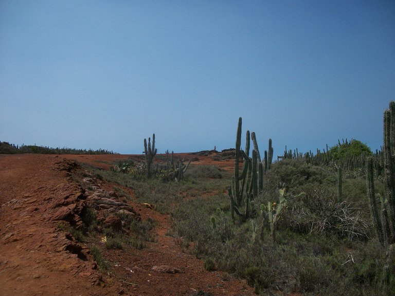 100_7676.JPG