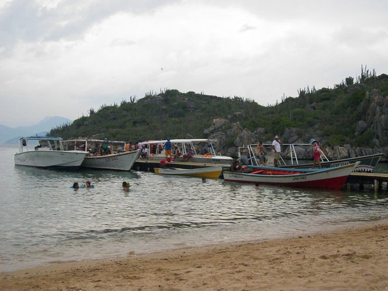 100_6428.JPG