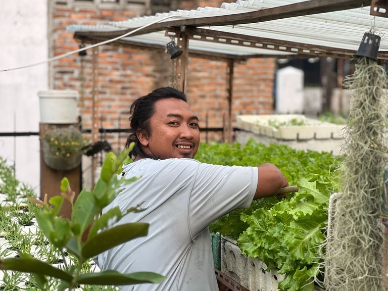 Towards Harvest Time For The Next Week