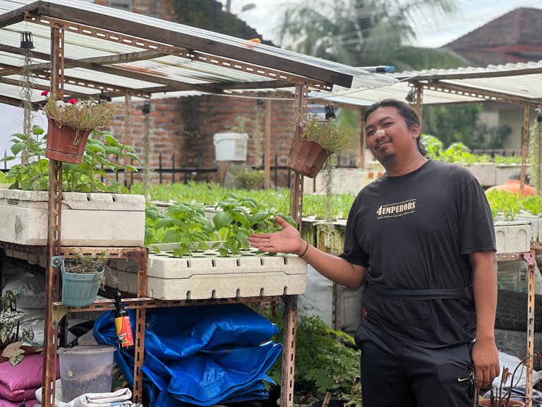 My Lettuce Eaten by Rats