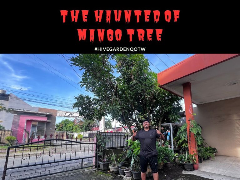 the haunted of mango tree.jpg