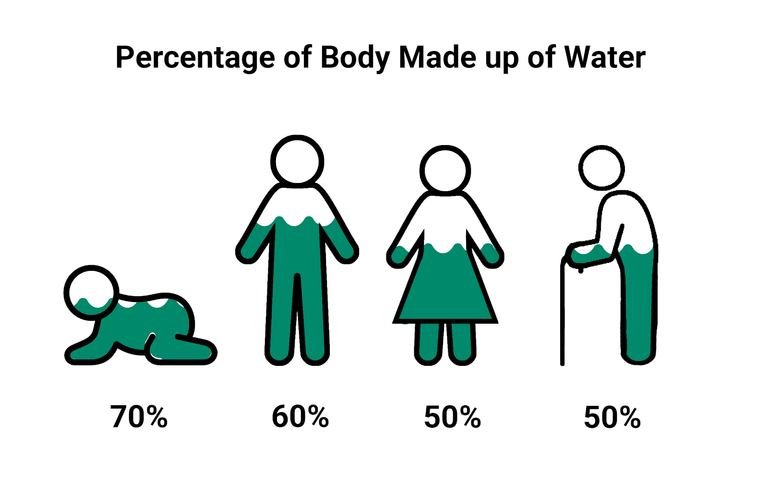 Percentage-of-Body-Made-up-of-Water.png