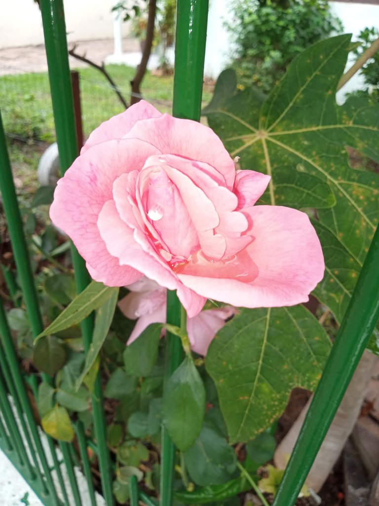 IMG_20240428_100214_150.jpg